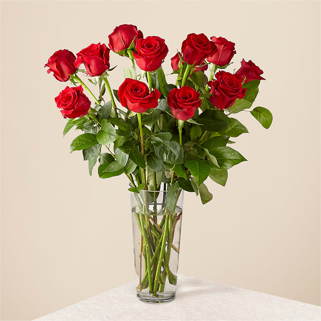 Long Stem Red Rose Bouquet – MEME'S FLOWER SHOP LLC, Bay Minette AL