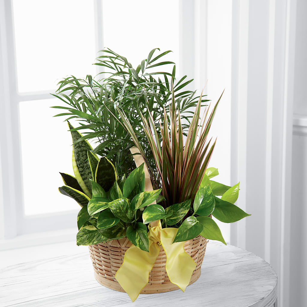 French Garden – MEME'S FLOWER SHOP LLC, Bay Minette AL