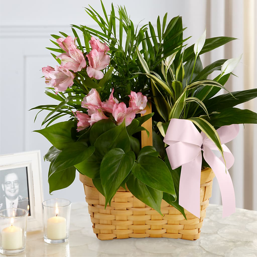 Living Spirit Dishgarden – MEME'S FLOWER SHOP LLC, Bay Minette AL