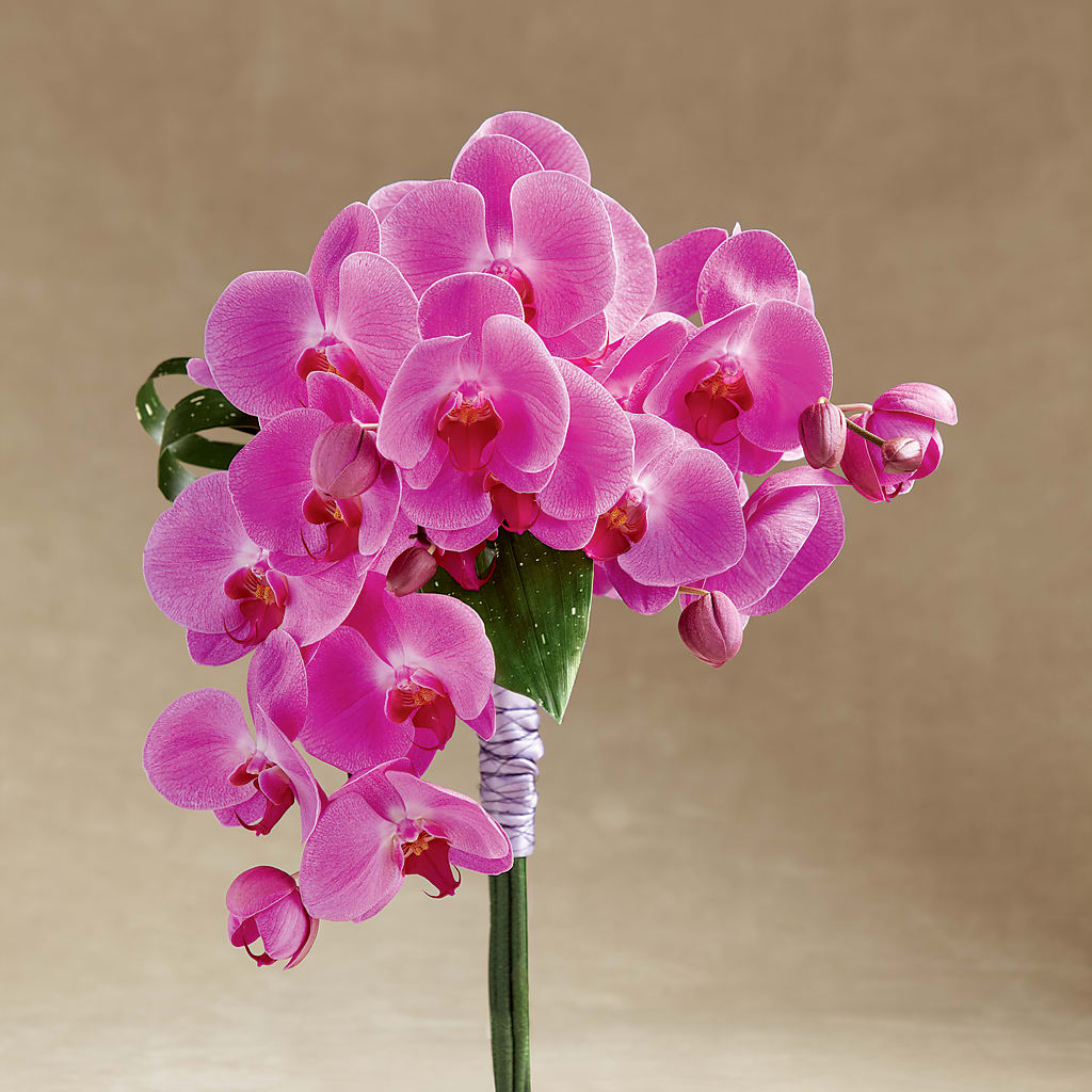 Glorious Bouquet – MEME'S FLOWER SHOP LLC, Bay Minette AL