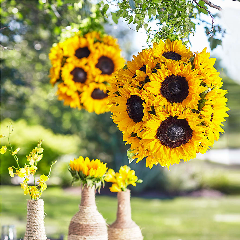 Sublime Garden Hanging Arrangement – MEME'S FLOWER SHOP LLC, Bay Minette AL