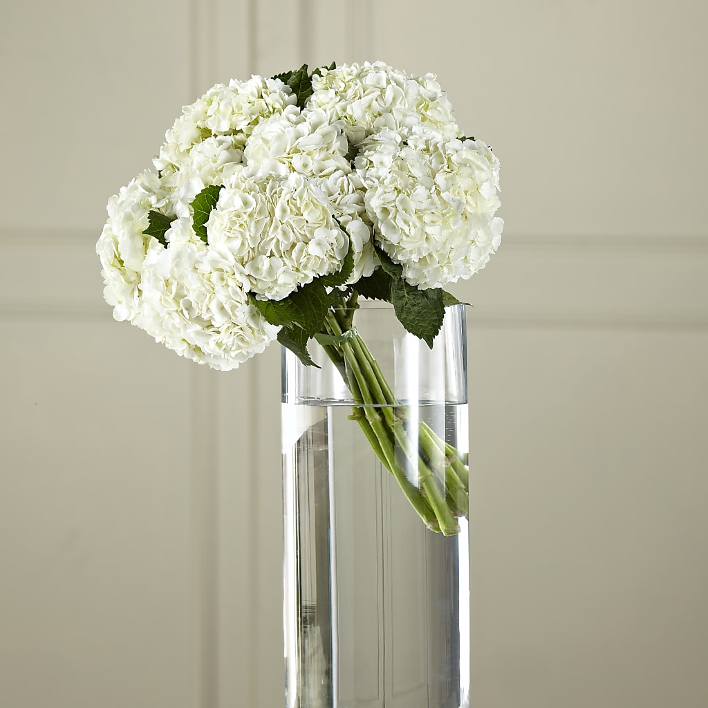 White Hydrangea Hand-Tied Bouquet – MEME'S FLOWER SHOP LLC, Bay Minette AL