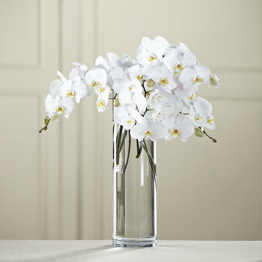 White Phalaenopsis Bouquet – MEME'S FLOWER SHOP LLC, Bay Minette AL