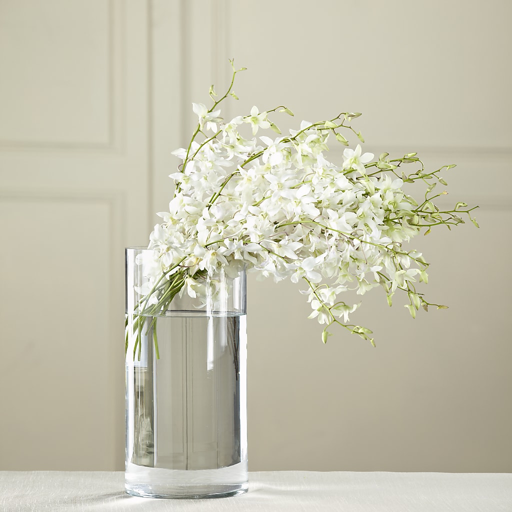 White Dendrobium Bouquet – MEME'S FLOWER SHOP LLC, Bay Minette AL