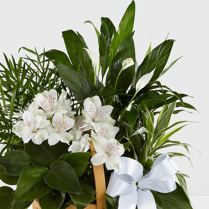 Peace & Serenity Dishgarden – MEME'S FLOWER SHOP LLC, Bay Minette AL