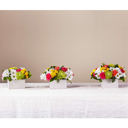 Sorbet Bouquet – MEME'S FLOWER SHOP LLC, Bay Minette AL