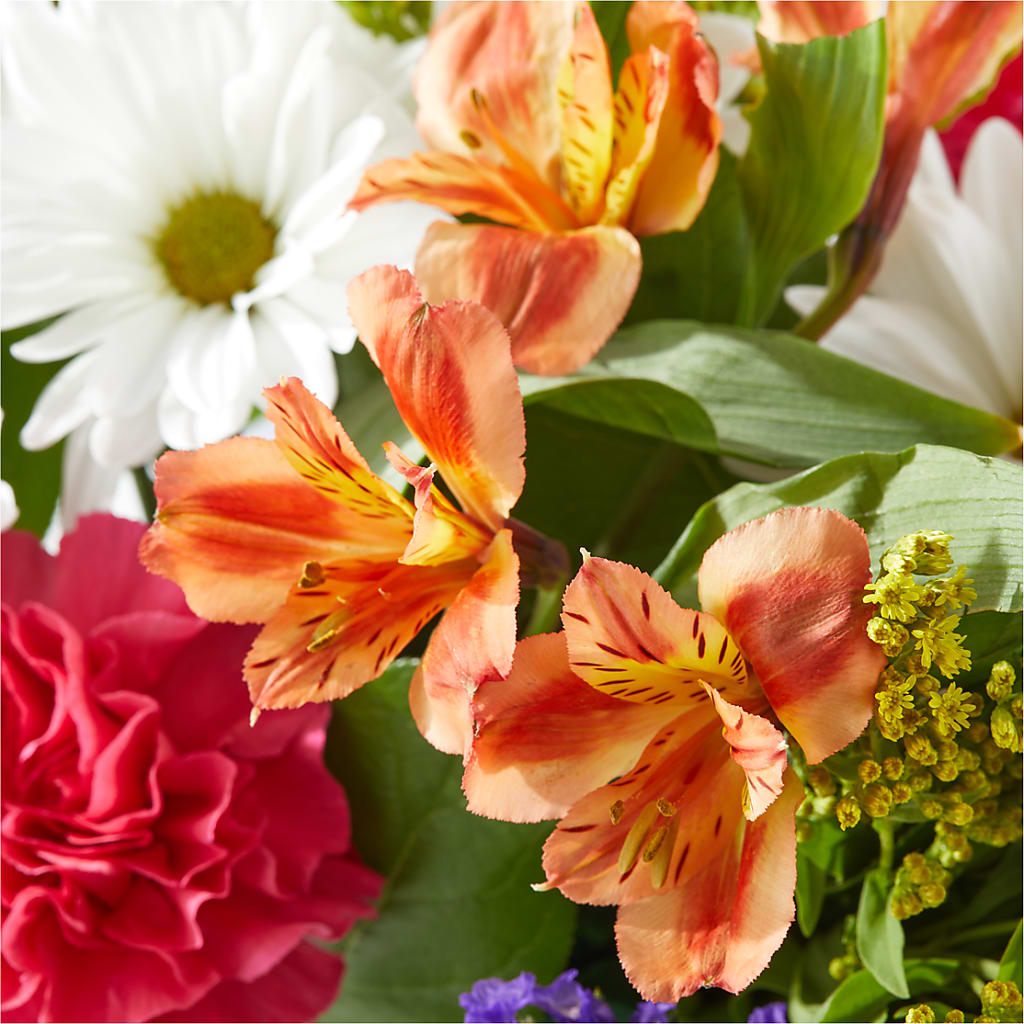Oopsie Daisy Box Bouquet – MEME'S FLOWER SHOP LLC, Bay Minette AL