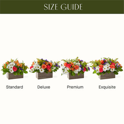Oopsie Daisy Box Bouquet – MEME'S FLOWER SHOP LLC, Bay Minette AL