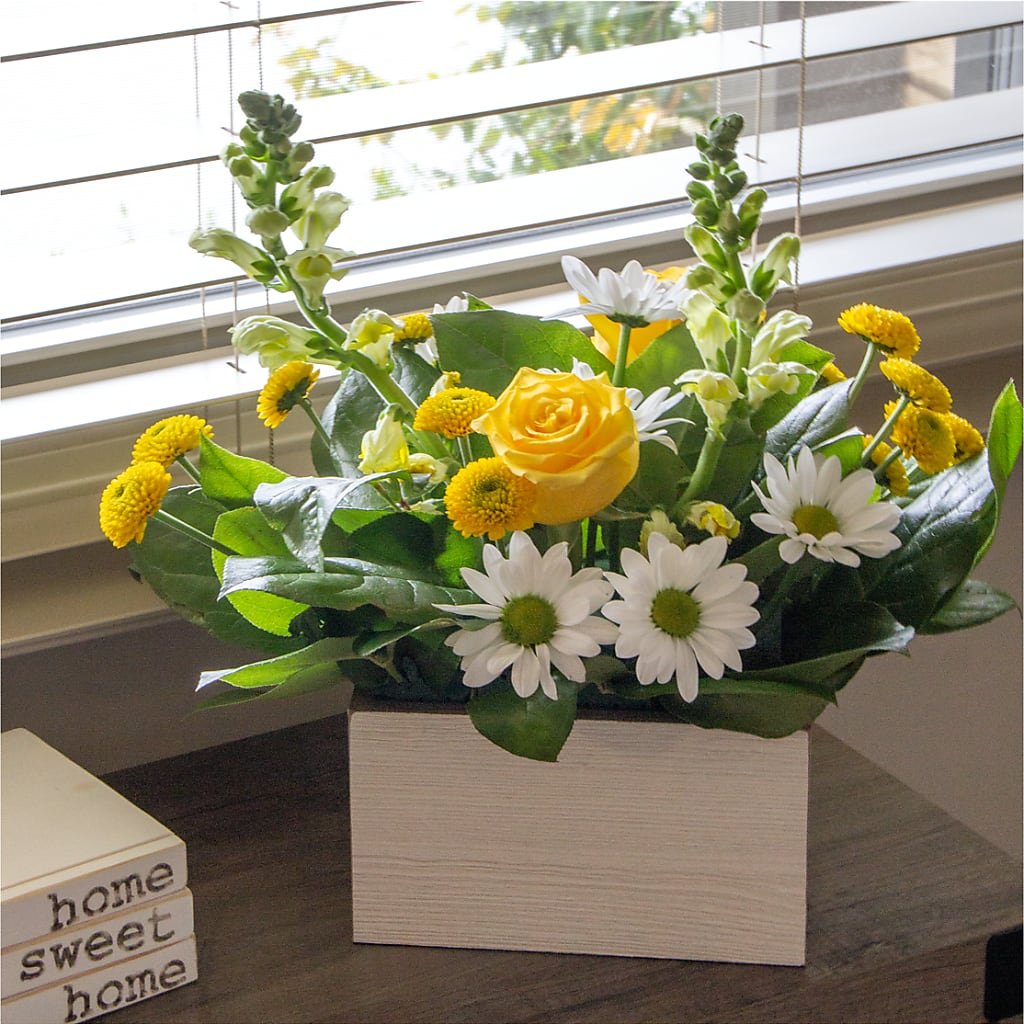 Sun Salutation Box Bouquet – MEME'S FLOWER SHOP LLC, Bay Minette AL