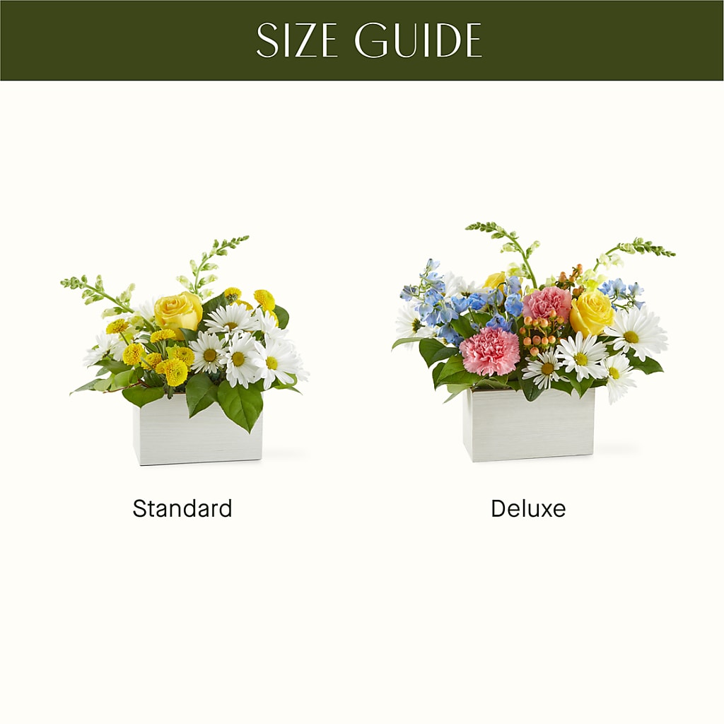 Sun Salutation Box Bouquet – MEME'S FLOWER SHOP LLC, Bay Minette AL