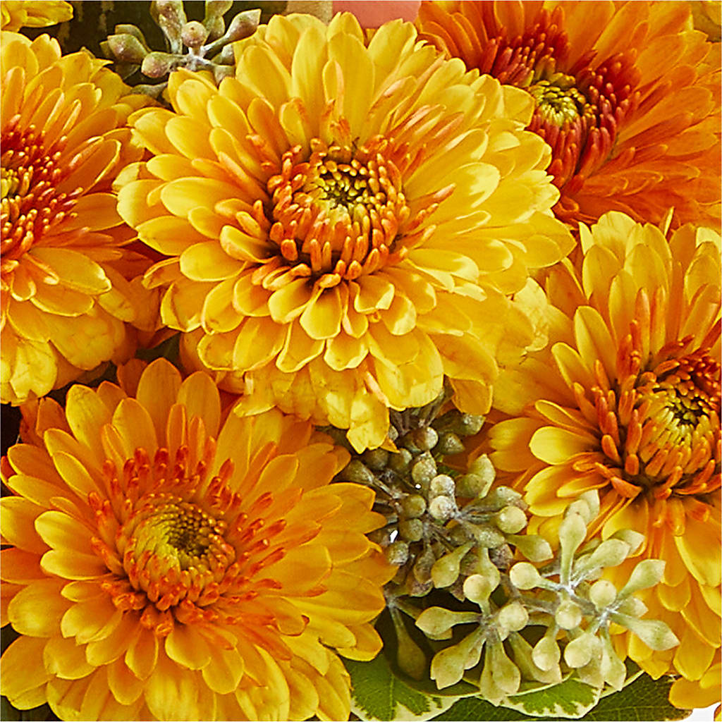 Peachy Pumpkin – MEME'S FLOWER SHOP LLC, Bay Minette AL