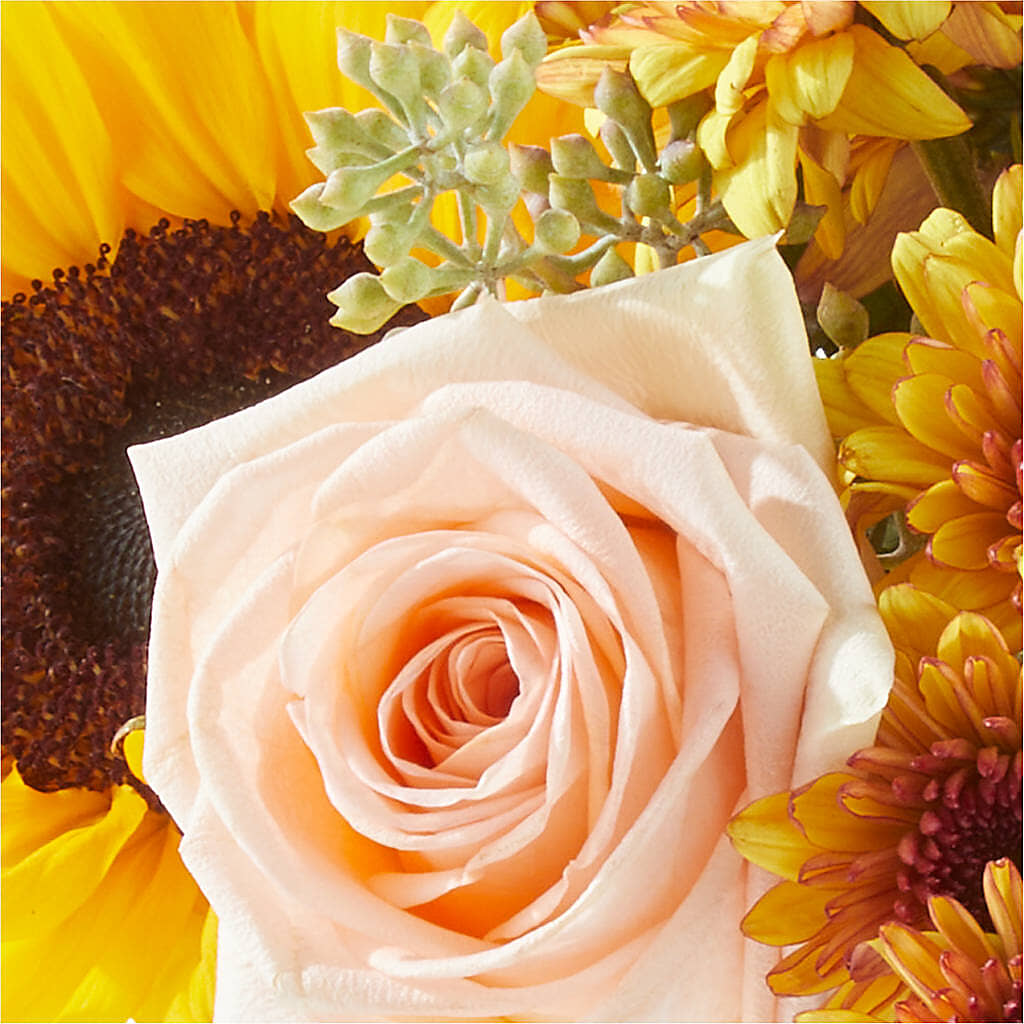 Pumpkin to Talk About Bouquet – MEME'S FLOWER SHOP LLC, Bay Minette AL