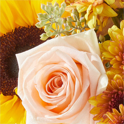 Pumpkin to Talk About Bouquet – MEME'S FLOWER SHOP LLC, Bay Minette AL