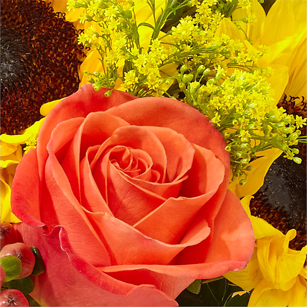 Pick of the Patch Pumpkin Bouquet – MEME'S FLOWER SHOP LLC, Bay Minette AL