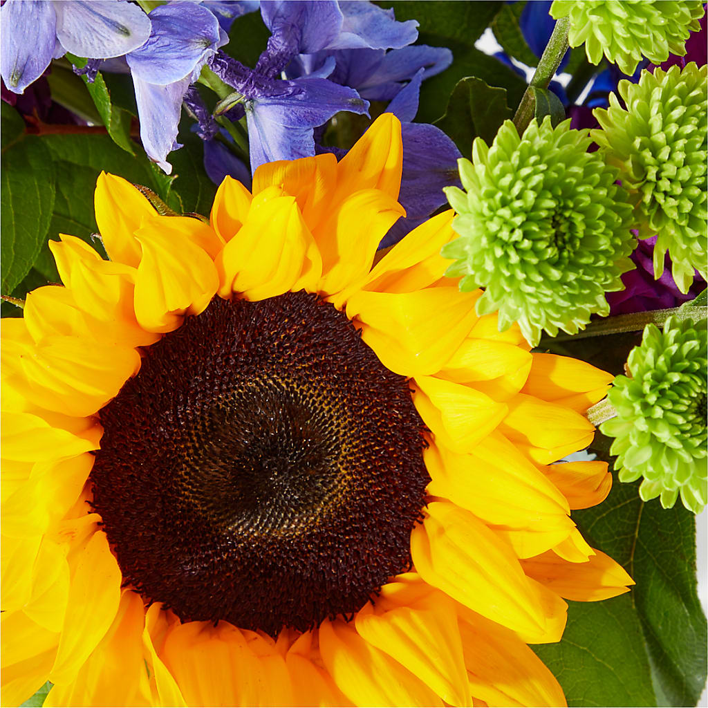 Catching Rays Bouquet – MEME'S FLOWER SHOP LLC, Bay Minette AL