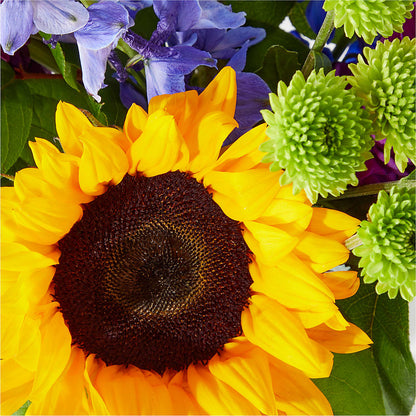 Catching Rays Bouquet – MEME'S FLOWER SHOP LLC, Bay Minette AL