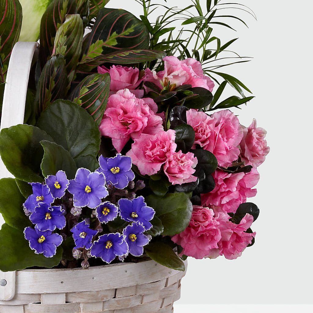 Peaceful Garden Planter – MEME'S FLOWER SHOP LLC, Bay Minette AL