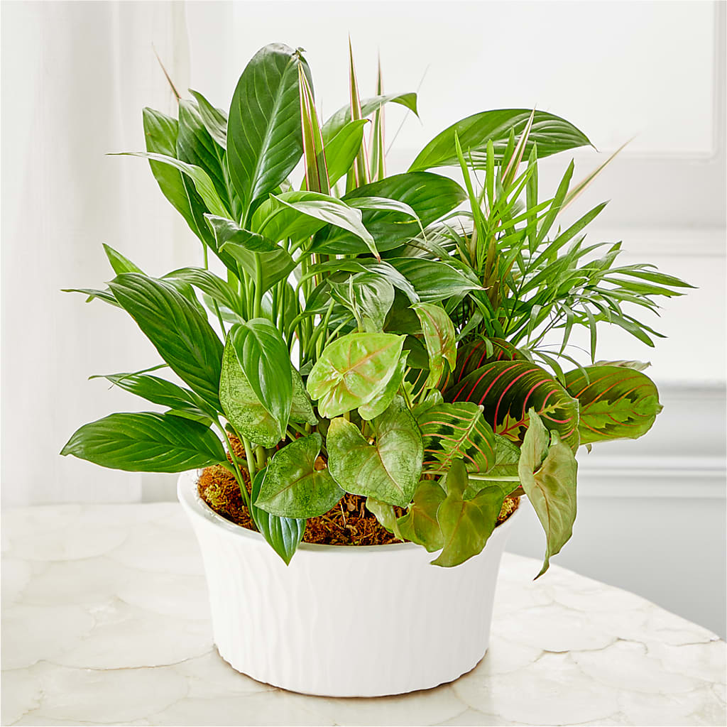 Jardin en coupe Équilibre et harmonie