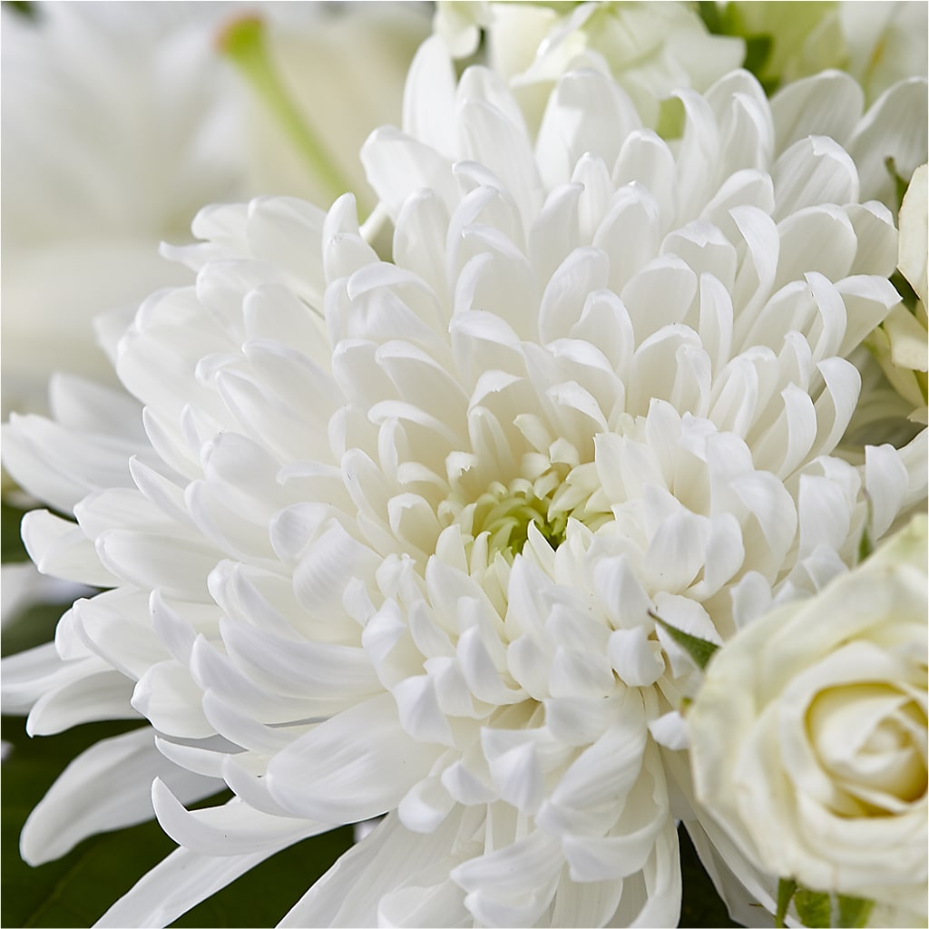 Classic Ivory – A Florist Original – MEME'S FLOWER SHOP LLC, Bay Minette AL