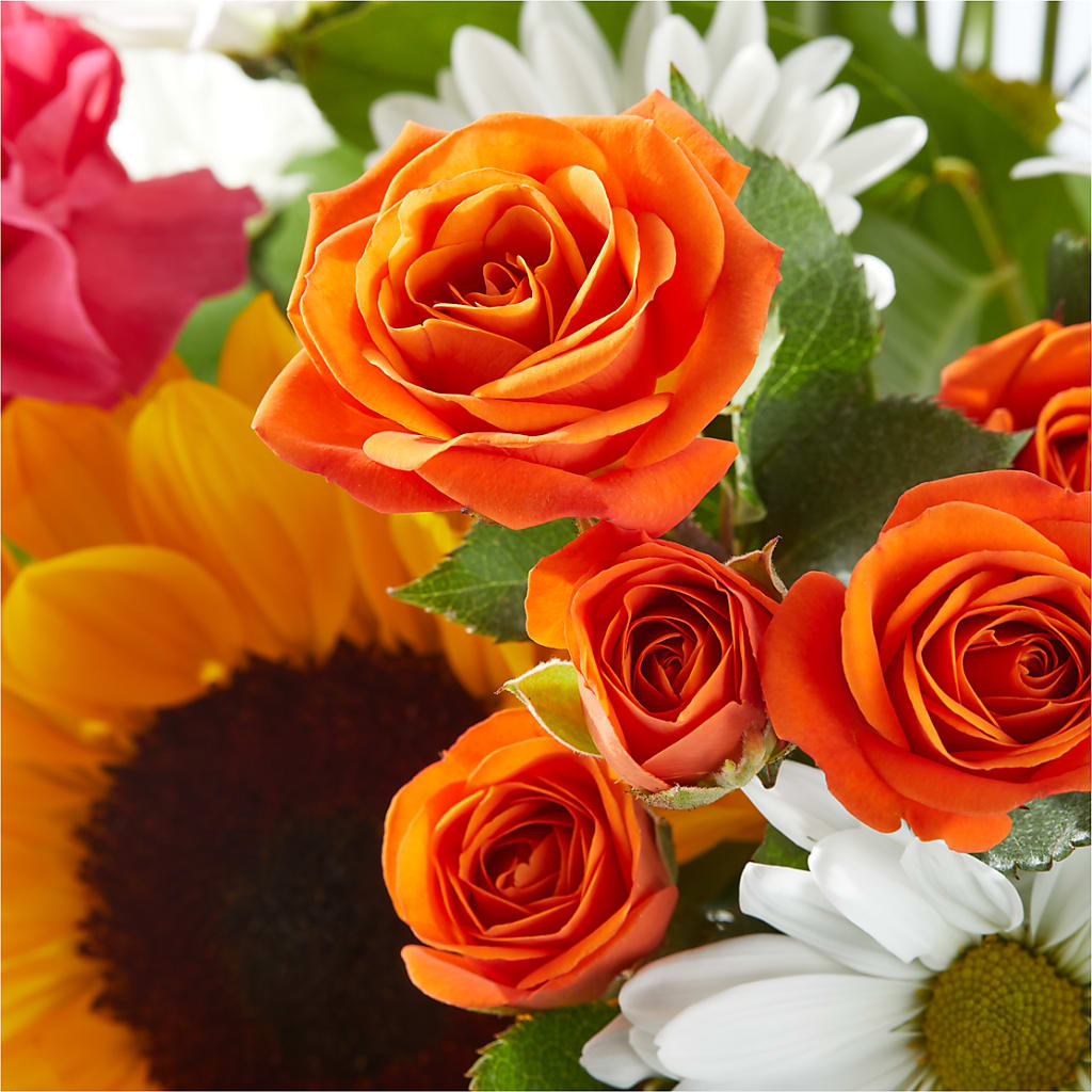 Sun-drenched Blooms Bouquet – MEME'S FLOWER SHOP LLC, Bay Minette AL