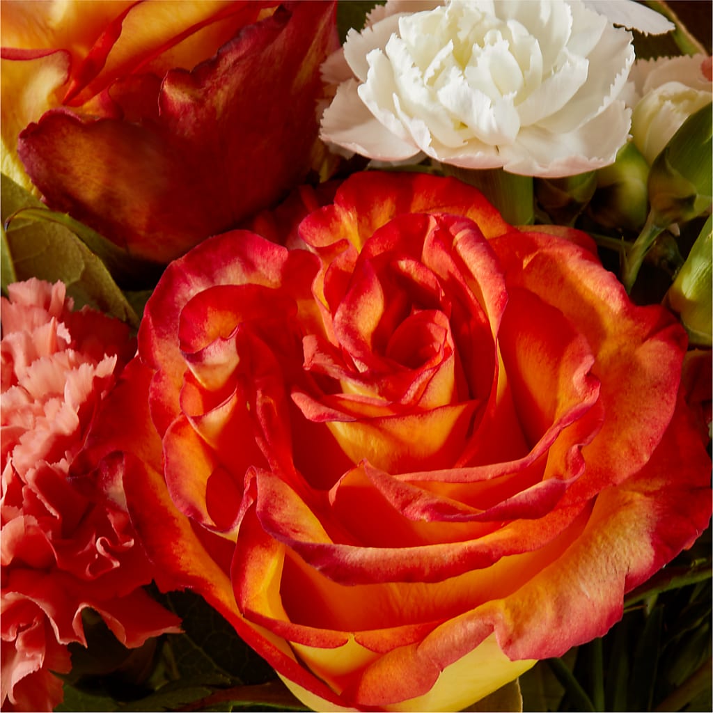 Apricot Glow Bouquet – MEME'S FLOWER SHOP LLC, Bay Minette AL
