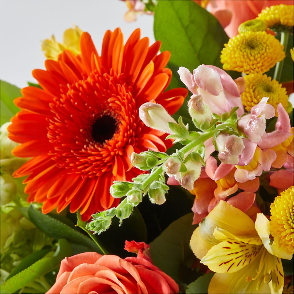 Autumn Sunshine Bouquet – MEME'S FLOWER SHOP LLC, Bay Minette AL