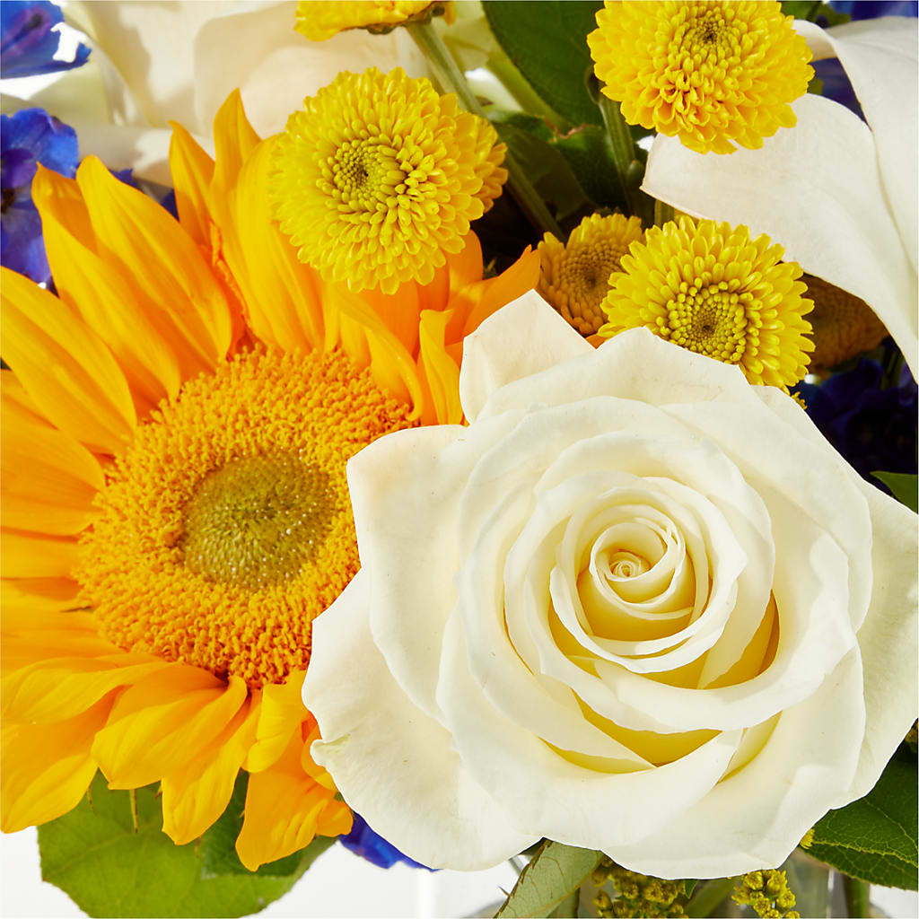 Stargazing Bouquet – MEME'S FLOWER SHOP LLC, Bay Minette AL