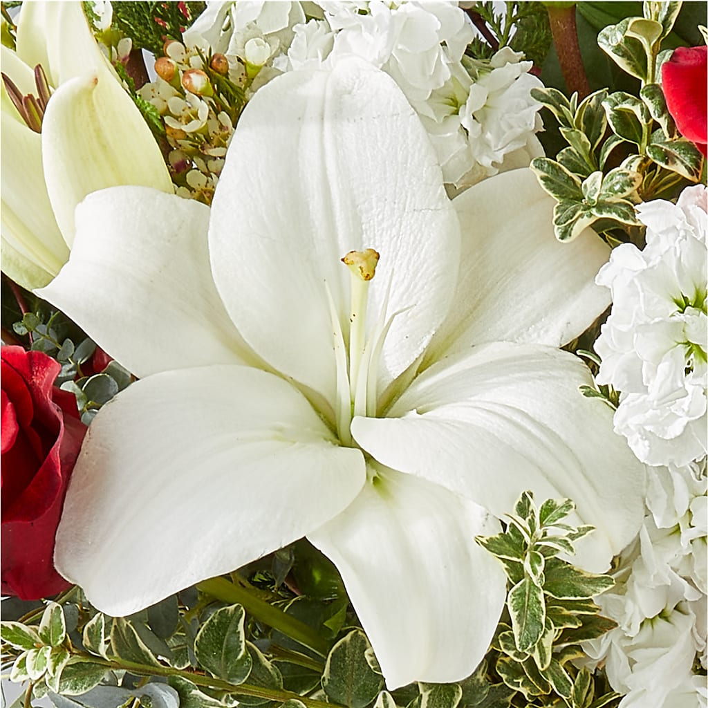 Twinkle Lights Bouquet – MEME'S FLOWER SHOP LLC, Bay Minette AL