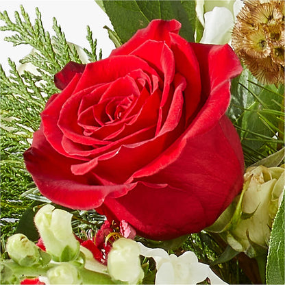 Deck the Halls Bouquet – MEME'S FLOWER SHOP LLC, Bay Minette AL