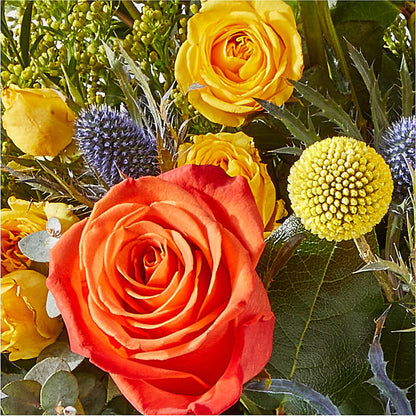 Disco Bouquet – MEME'S FLOWER SHOP LLC, Bay Minette AL