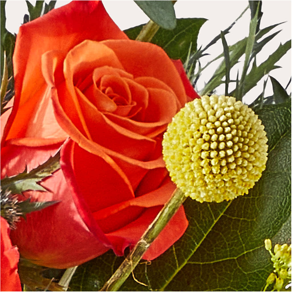 Disco Bouquet – MEME'S FLOWER SHOP LLC, Bay Minette AL