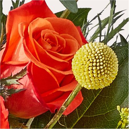 Disco Bouquet – MEME'S FLOWER SHOP LLC, Bay Minette AL