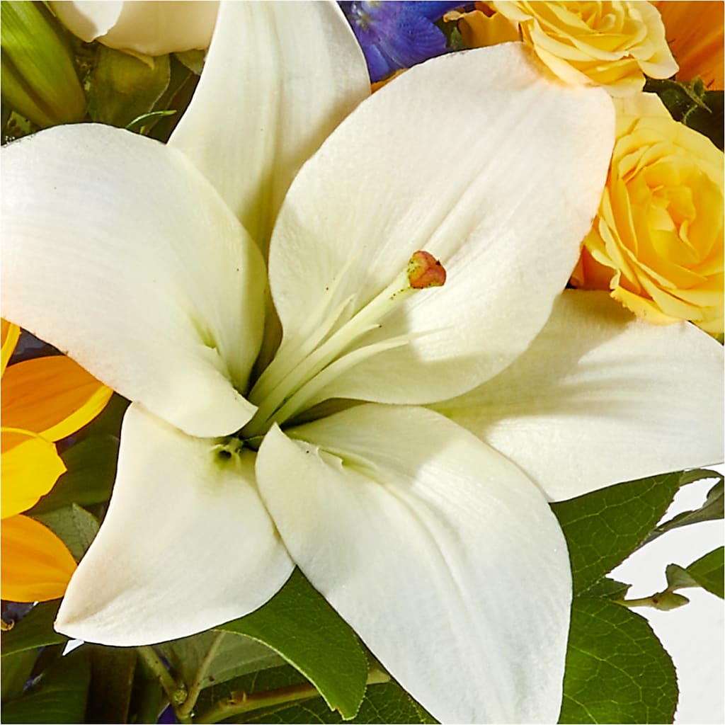 Wonderfully Sunny Bouquet – MEME'S FLOWER SHOP LLC, Bay Minette AL