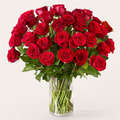 The One Red Rose Bouquet – MEME'S FLOWER SHOP LLC, Bay Minette AL
