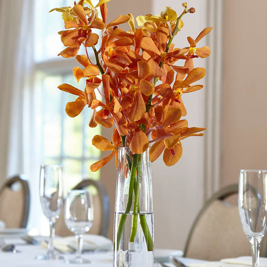 Florero con capullos de mokara naranja