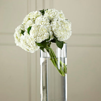 White Hydrangea Hand-Tied Bouquet – MEME'S FLOWER SHOP LLC, Bay Minette AL