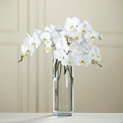 White Phalaenopsis Bouquet – MEME'S FLOWER SHOP LLC, Bay Minette AL